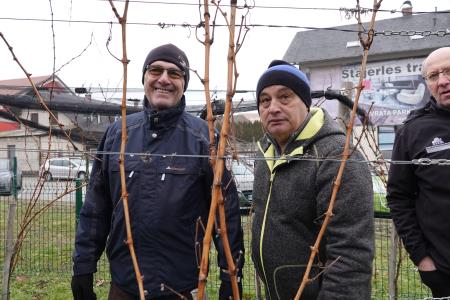 januar 2025 vicekova rez (120)